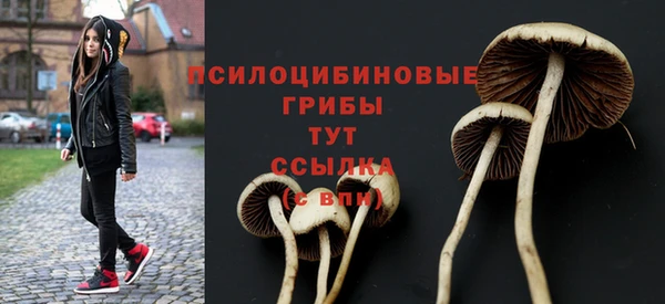молекула духа Богданович