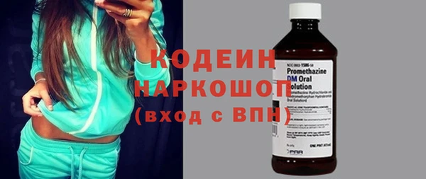 молекула духа Богданович