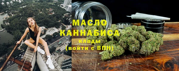 молекула духа Богданович