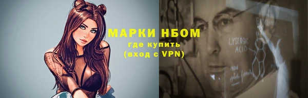 молекула духа Богданович