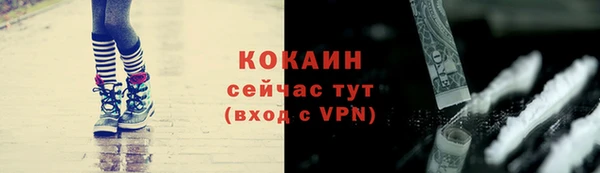 молекула духа Богданович