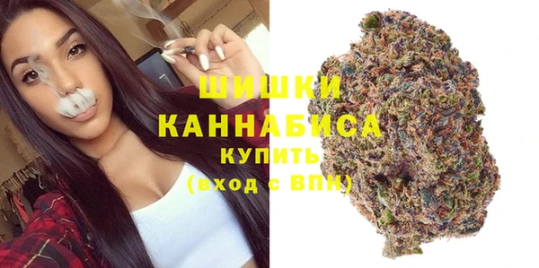 молекула духа Богданович