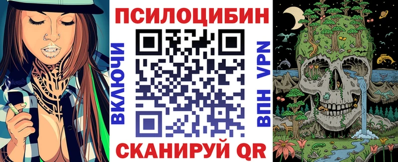 Галлюциногенные грибы Psilocybe  mega   Барабинск 